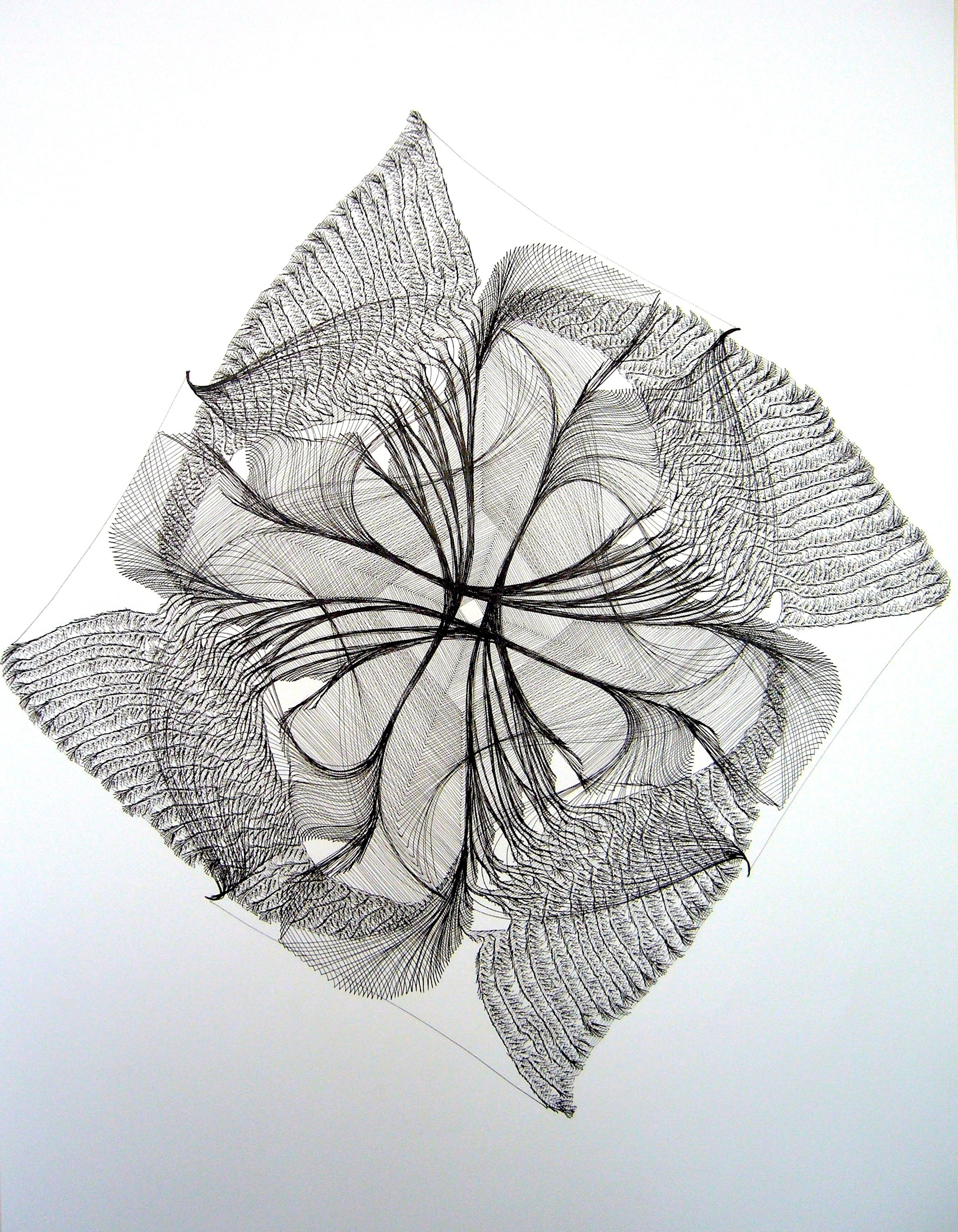 Cheryl Malone, drawings, ink on paper